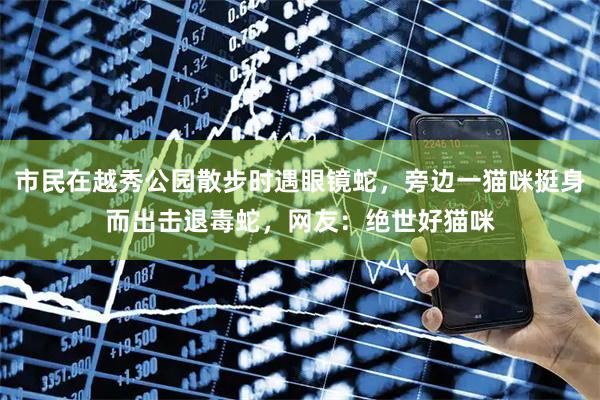 市民在越秀公园散步时遇眼镜蛇，旁边一猫咪挺身而出击退毒蛇，网友：绝世好猫咪