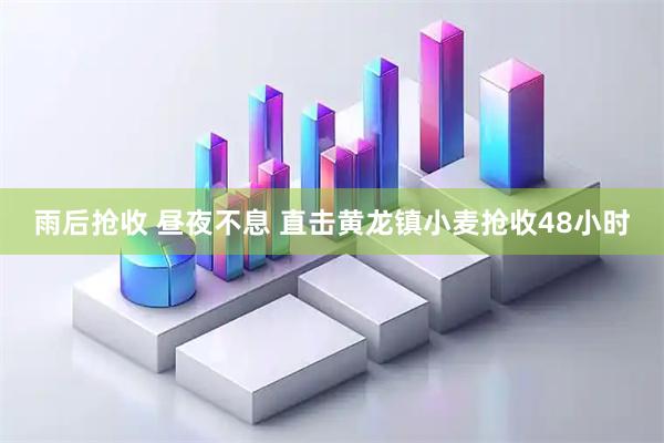 雨后抢收 昼夜不息 直击黄龙镇小麦抢收48小时